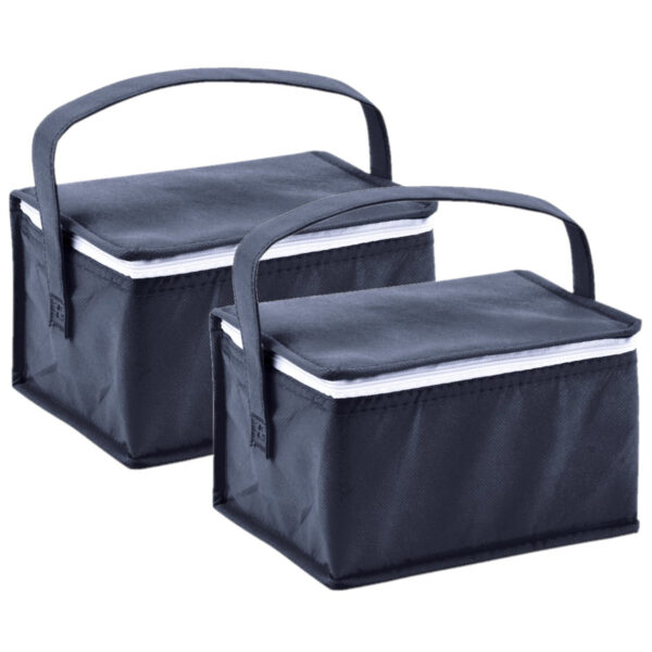 Kleine koeltas voor lunch - 2x - blauw - 20 x 14 x 13 cm - 3.5 liter