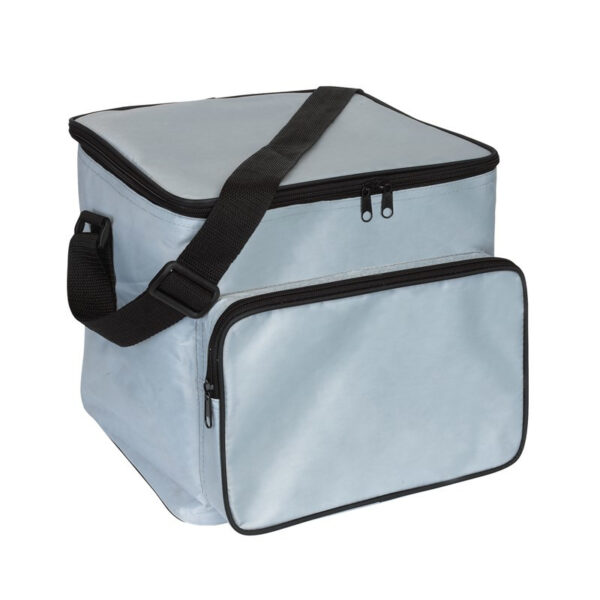 Grote koeltas - 21 liter - 28 x 25 x 30 cm - zilverkleurig
