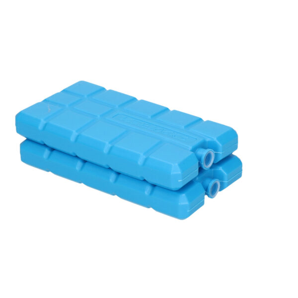 Koelelementen voor koelbox en koeltas - 2x stuks - 200 gram - blauw - kunststof - niet vulbaar