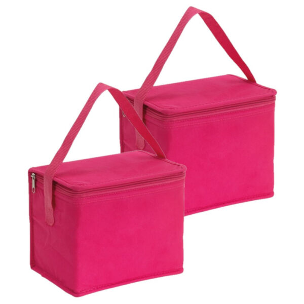Kleine koeltas voor lunch - 2x - roze - 20 x 13 x 17 cm - 4.5 liter