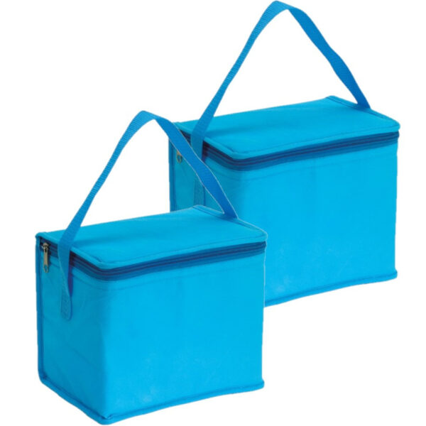 Kleine koeltas - 2x - lichtblauw - 20x13x17 cm - 4.5L - sixpack